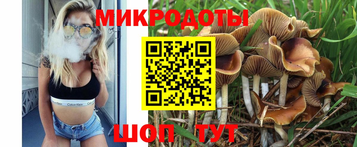 Псилоцибиновые грибы Magic Shrooms  хочу наркоту  Чернушка  Галлюциногенные грибы мухоморы  Вход с VPN 